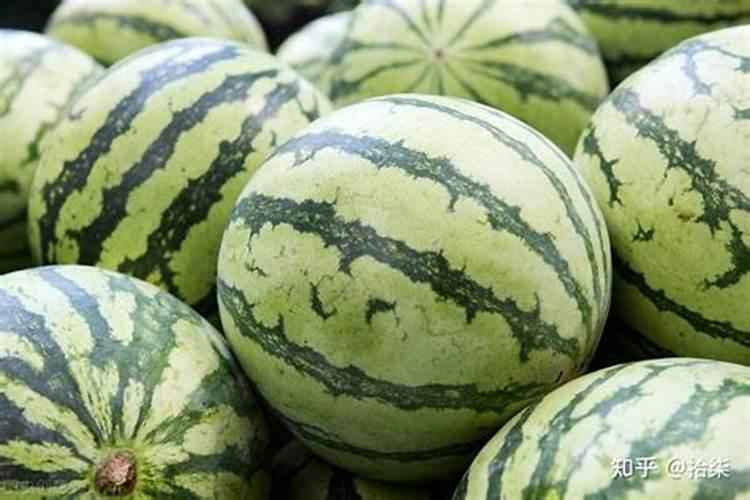 西瓜什么时候施肥最好