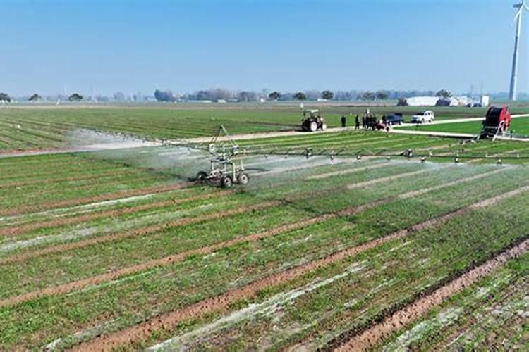 麦田磷肥肥效低,如何提高麦田磷肥肥效？