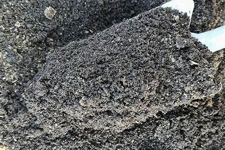 园林绿化用什么肥料