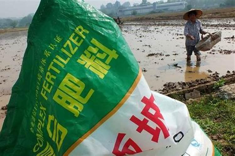 种玉米底肥用什么肥料好