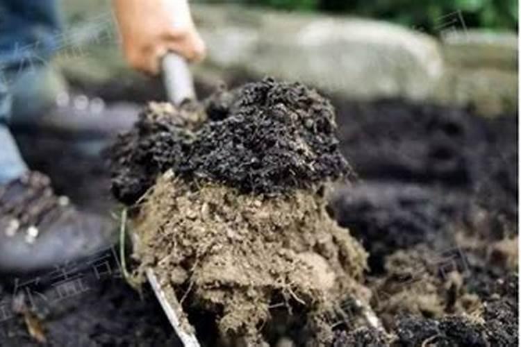 贵州金隆圣源有机肥生物科技有限公司怎么样？