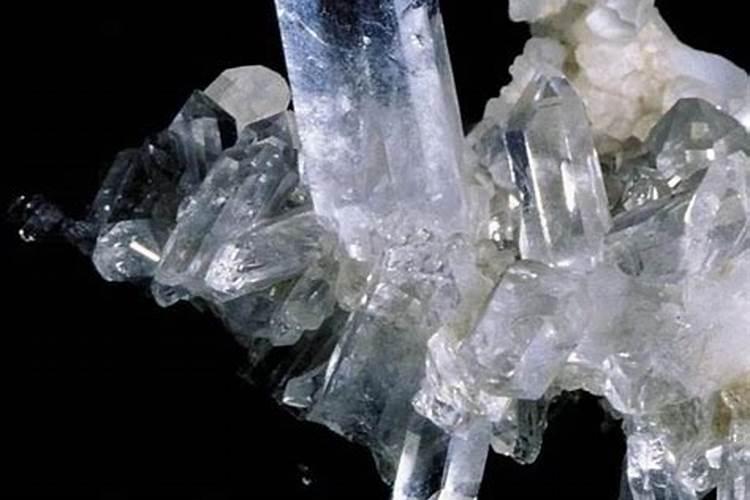 鱼眼睛做熟以后变成白色的硬珠子,白色的剥掉里面有透明的珠子,谁知道...