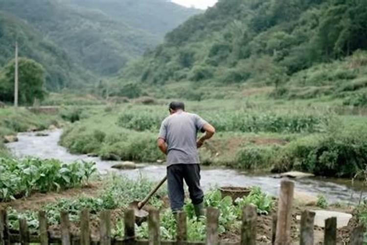 雨前施肥好还是雨后施肥好