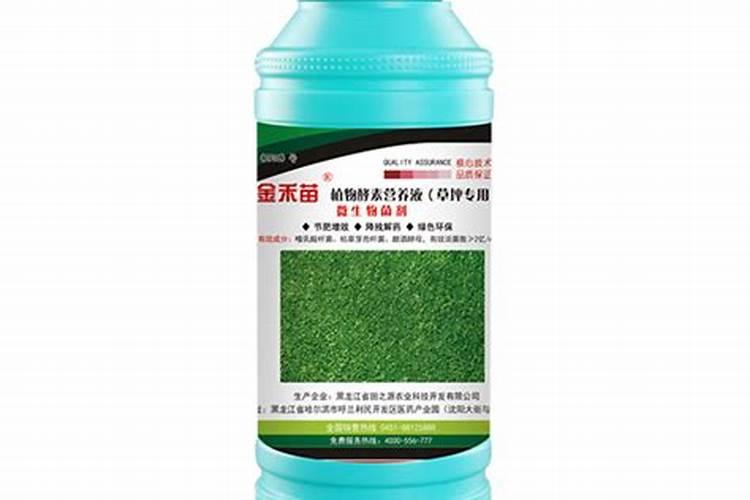 柚子施什么肥甜,柚子树几年可以挂果