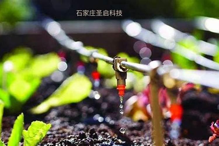 鱼塘何为瘦水肥水