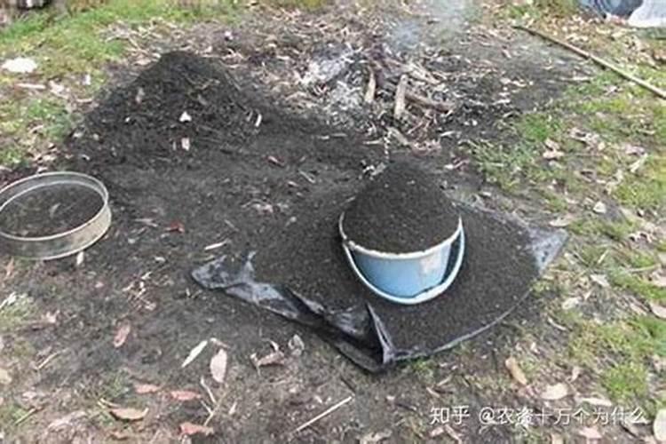 草木灰施肥后多久可施化肥