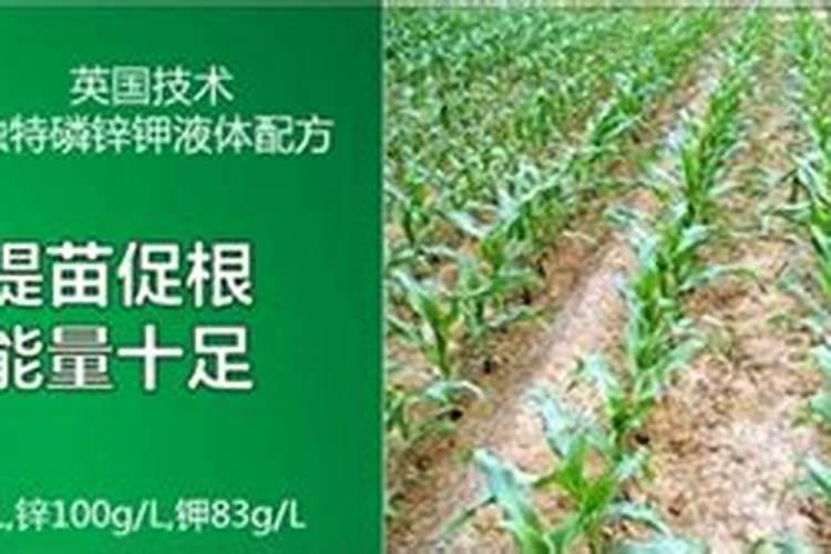 磷肥过量的危害