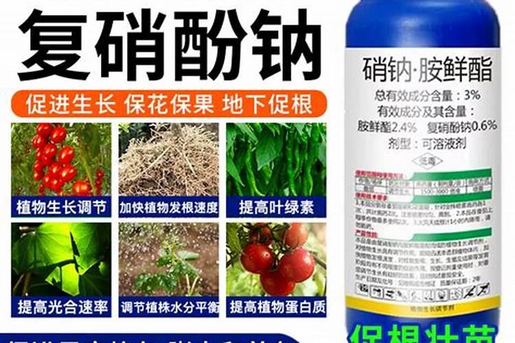 促进烟叶长势整齐的农药