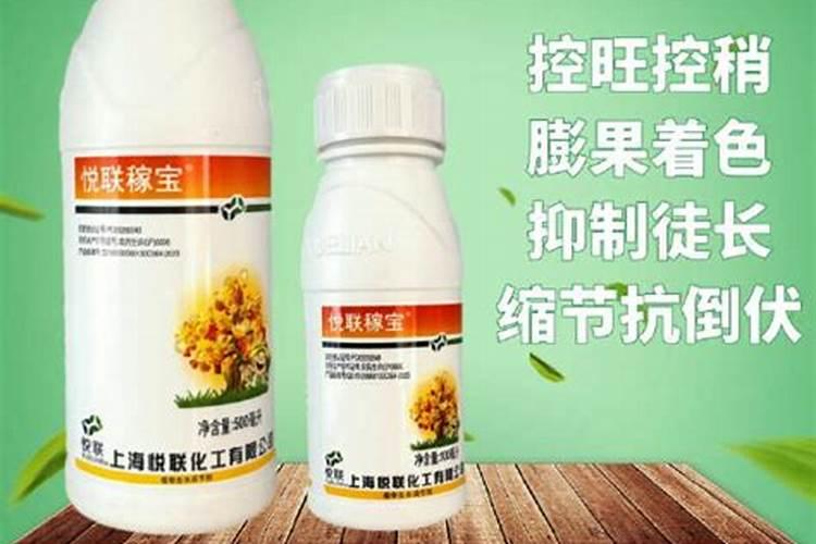 芸苔素的效果是什么？应该如何使用？