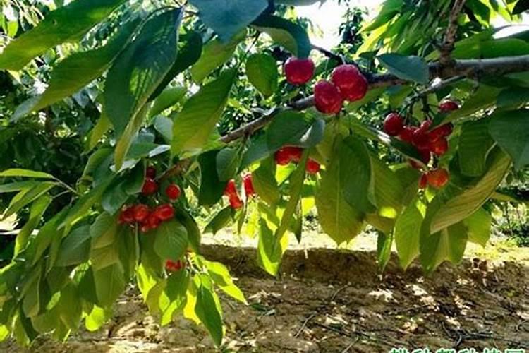 化学九年级下册重难点