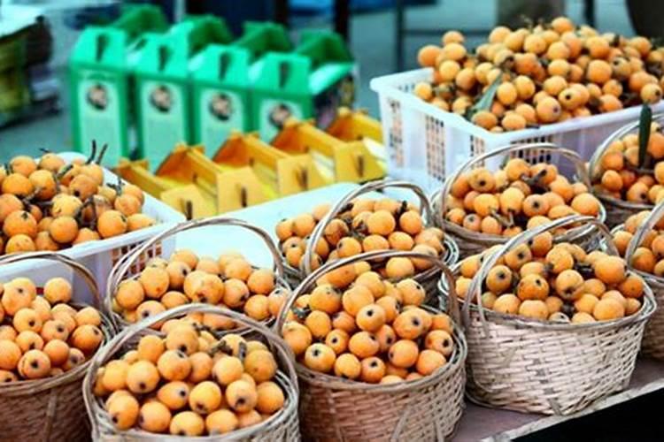 枇杷树釆完果后每颗树施多少要素,和磷肥？