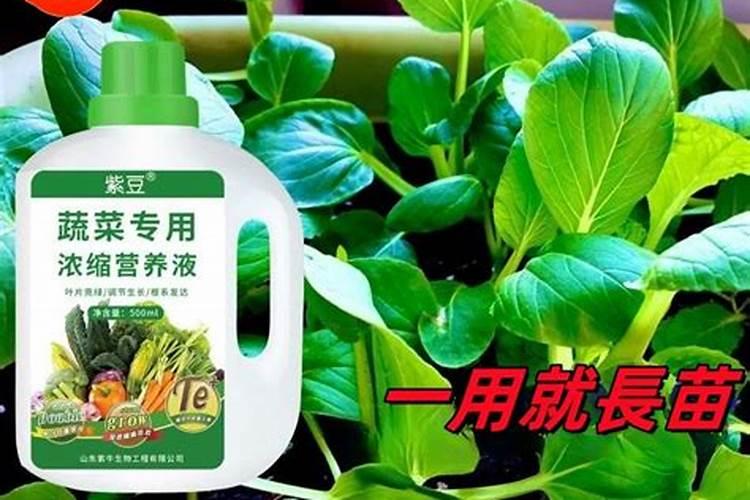 西瓜追施用什么肥料？西瓜促花保果膨大防晒专用膨大素？