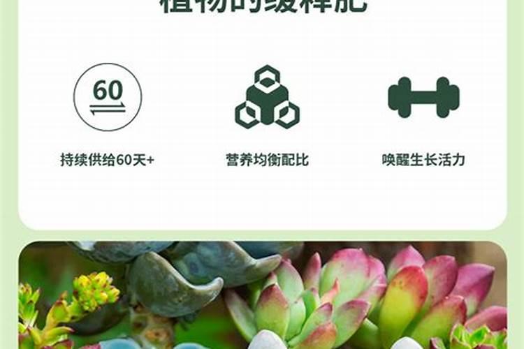 多肉植物需要施什？