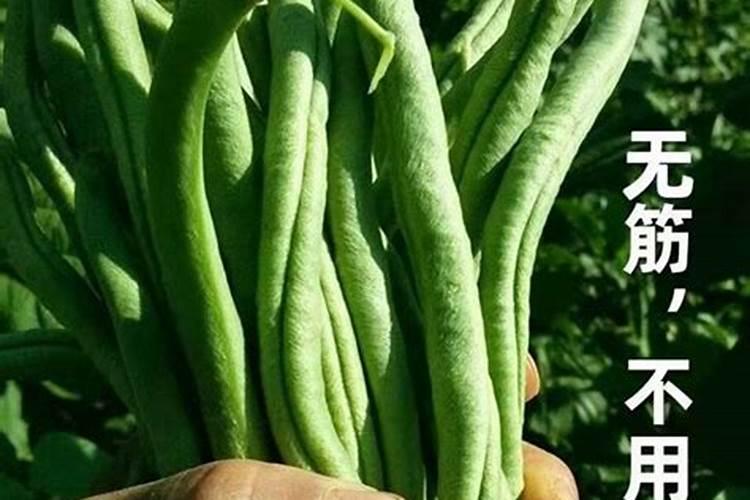 葡萄硼肥什么时候打最好？开花前？还是花期打？