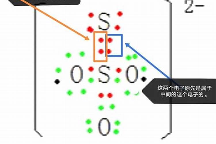 蓬莱松浇水时间和正确方法