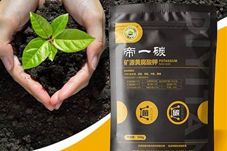 钾肥是什么肥料