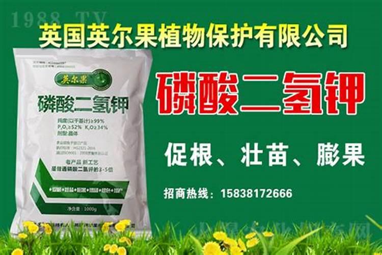 碳酸钾可以做肥料吗