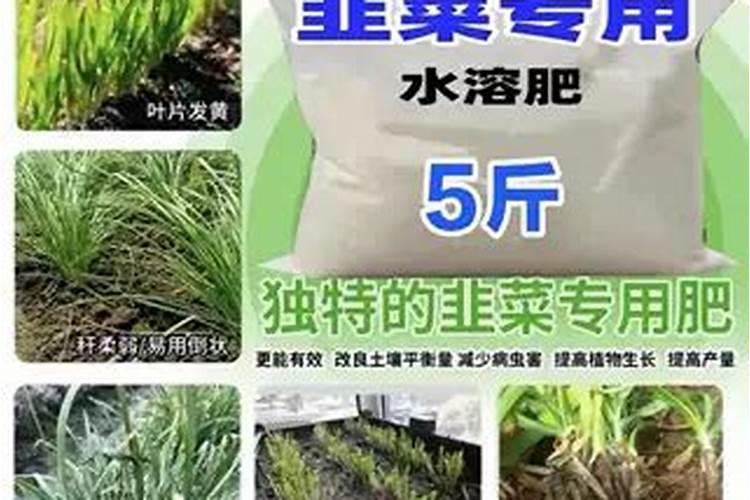 立秋后大葱施肥最佳时间