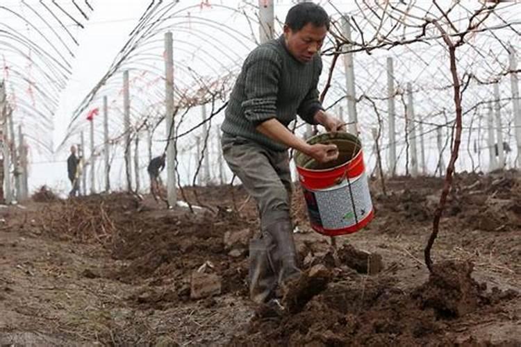 硫酸钾型复合肥适用于什么土地