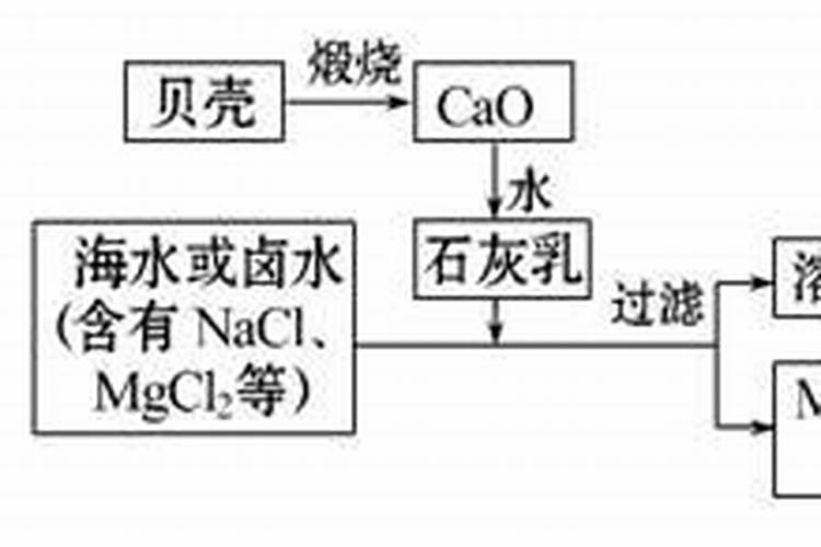 我家的君子兰几天浇一次水,最下面的叶子发黄了,上面的叶子有点卷,请有...