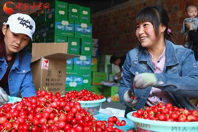 硫酸钾复合肥适合哪些农作物