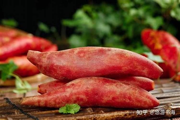 鱼蛋白肥料的使用技巧