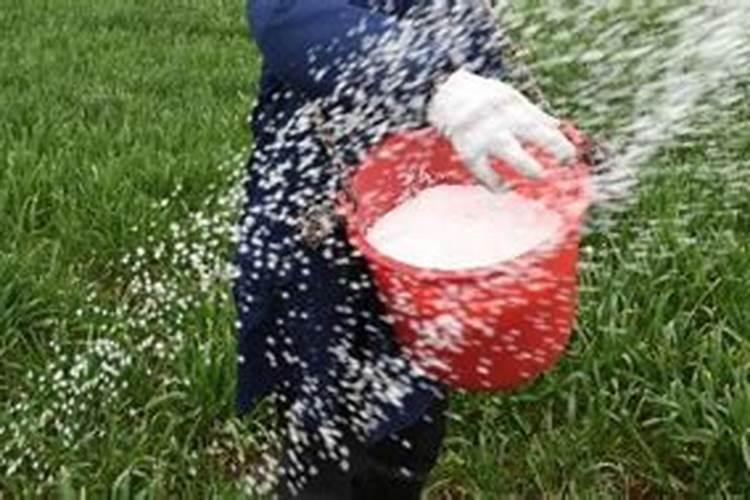 氯化钾肥料能用在什么植物上