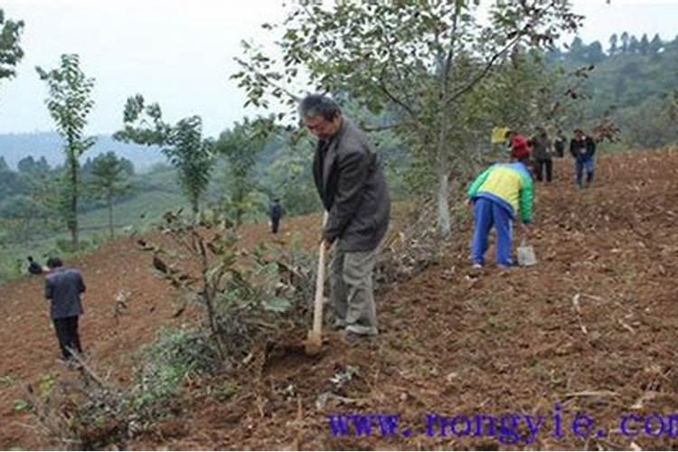检测土壤盐碱度需要测哪些指标