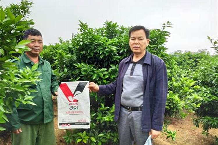 中量元素水溶肥料执行标准