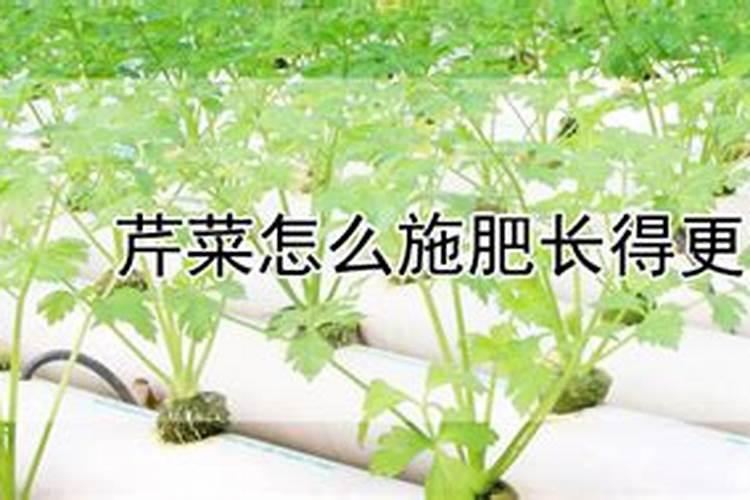 豆粕饼肥含有硼元素吗