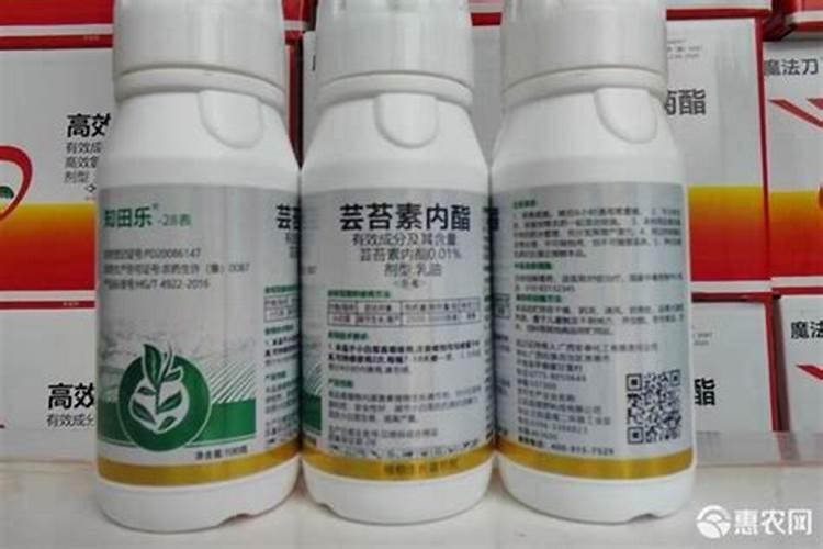 叶绿素能和芸苔素内酯一起使用吗