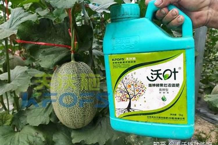 2021年国外肥料究竟涨了多少钱？