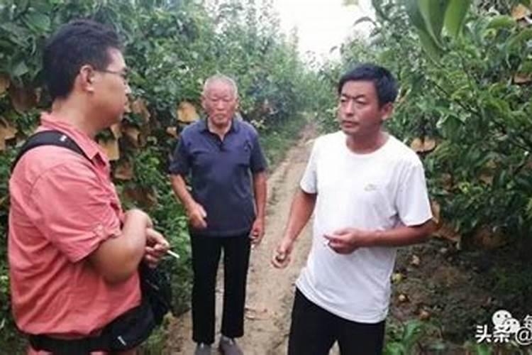 水体中的总磷如何测量？