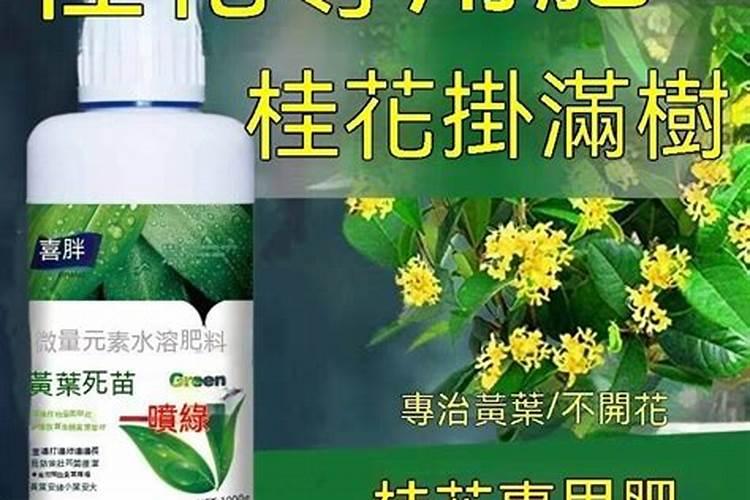 青岛拜特尔化工有限公司怎么样？