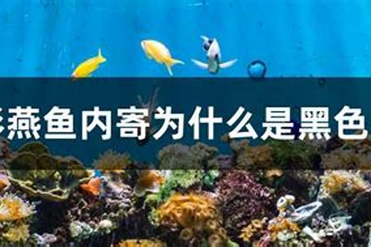 汉麻的种植方法