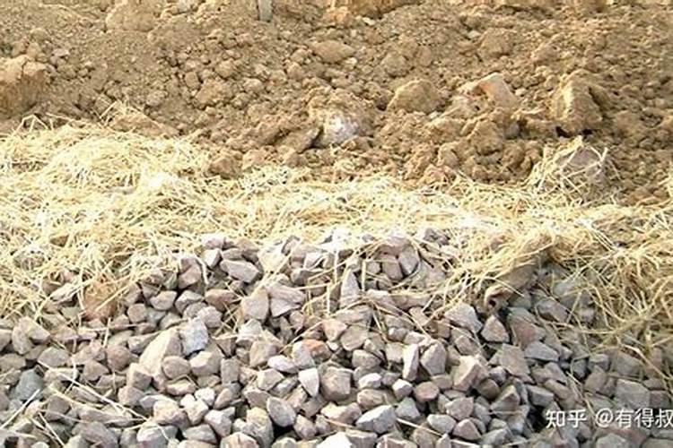 碱地去碱最快的方法