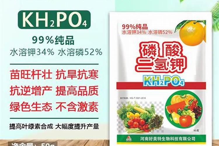 磷酸二氢钾这样用,壮苗增产效果翻倍!