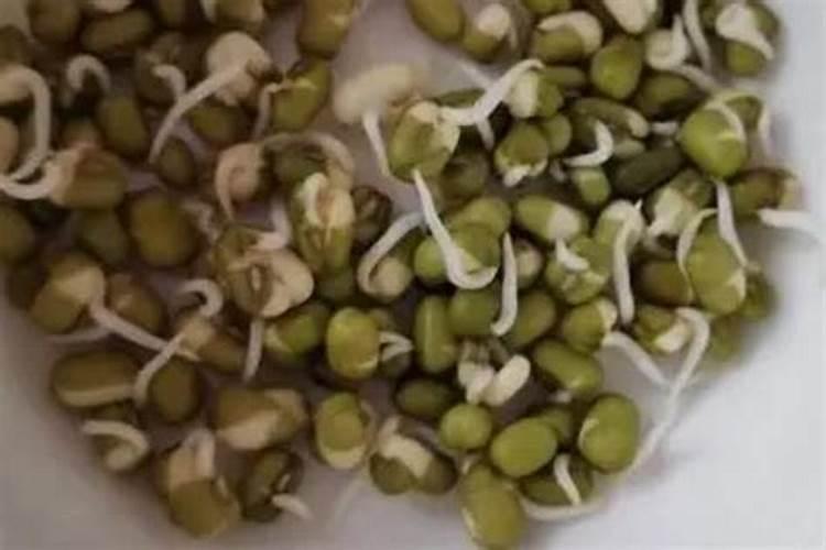 为什么骨粉是一种好磷肥？怎样使用效果好？