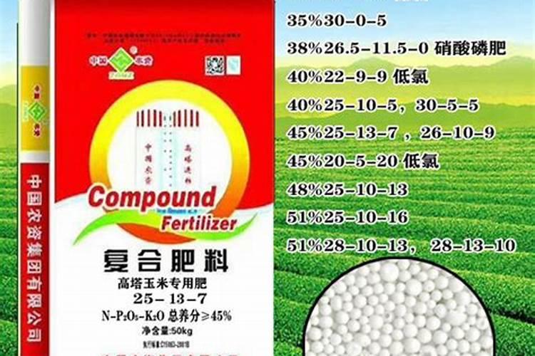 济南哪个花卉市场批发便宜实惠