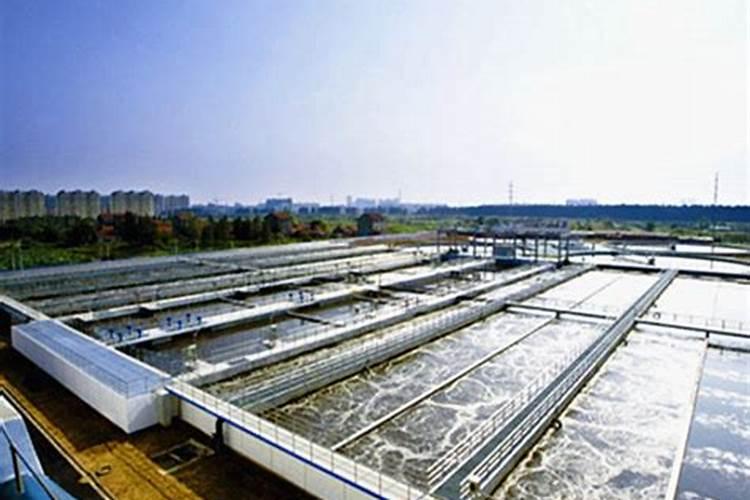 桃树开花时能浇水吗 为什么？