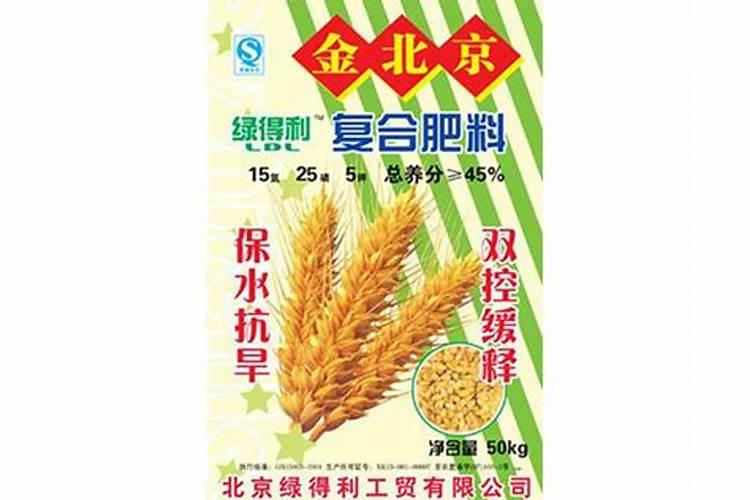 蔬菜冻害最全预防补救措施教给你!