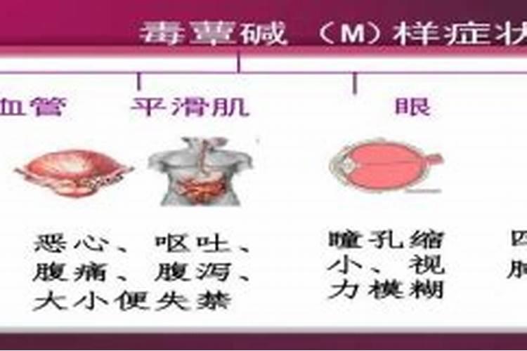 高温能不能打水溶肥？