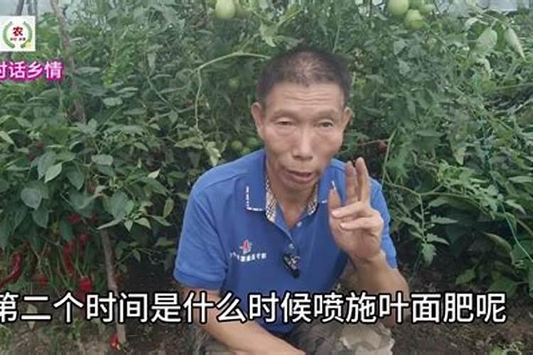 什么是土壤养分