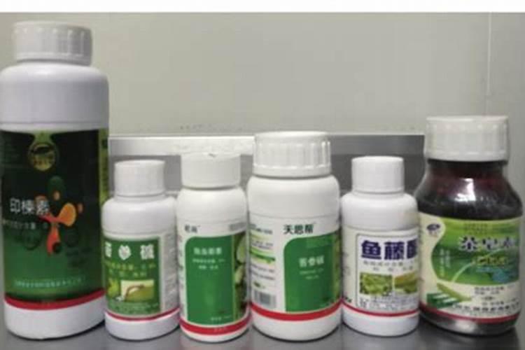 茶树最怕含氯肥料