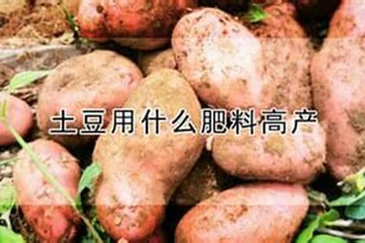 这是芹菜叶,请大家看一下这是什么病？