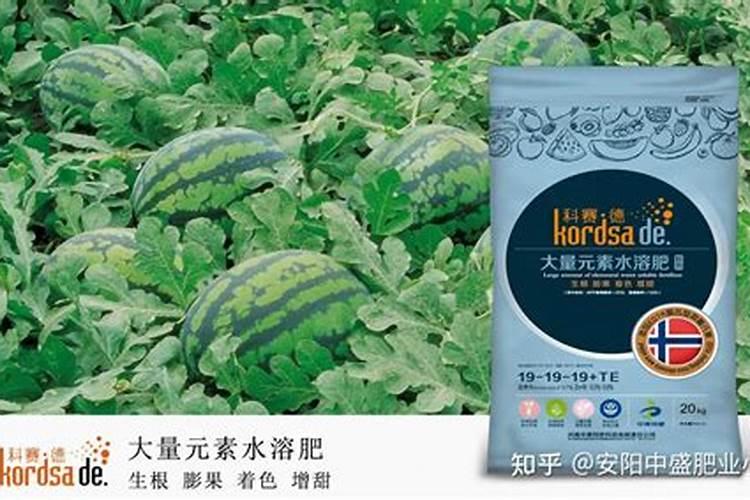 百香果多久施一次肥 施什么肥好