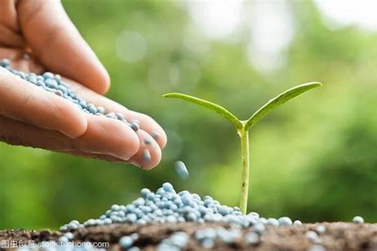 大量元素水溶肥用时要注意这五点,切不可掉以轻心!宝然生物