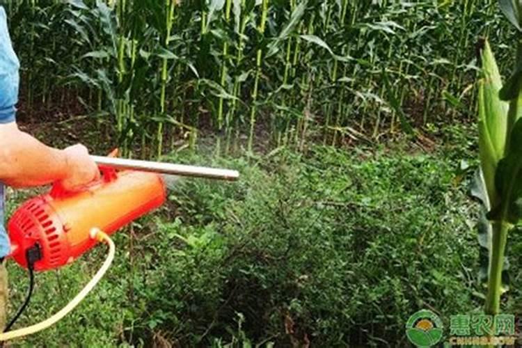 波尔多液复配什么杀菌剂