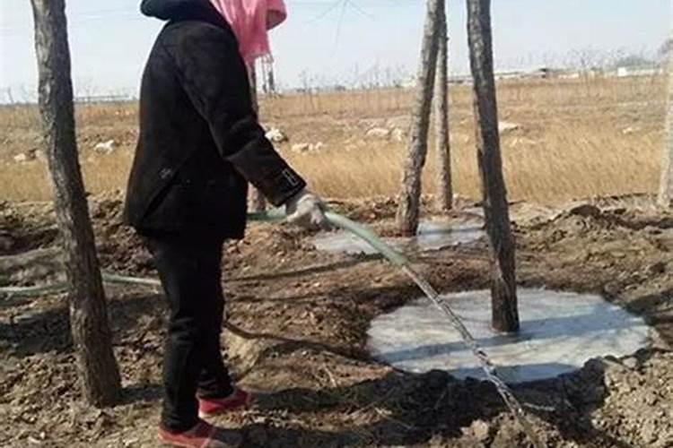 氨基酸水溶肥的危害,与腐殖酸哪个好