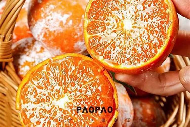 月季花施什么肥料好